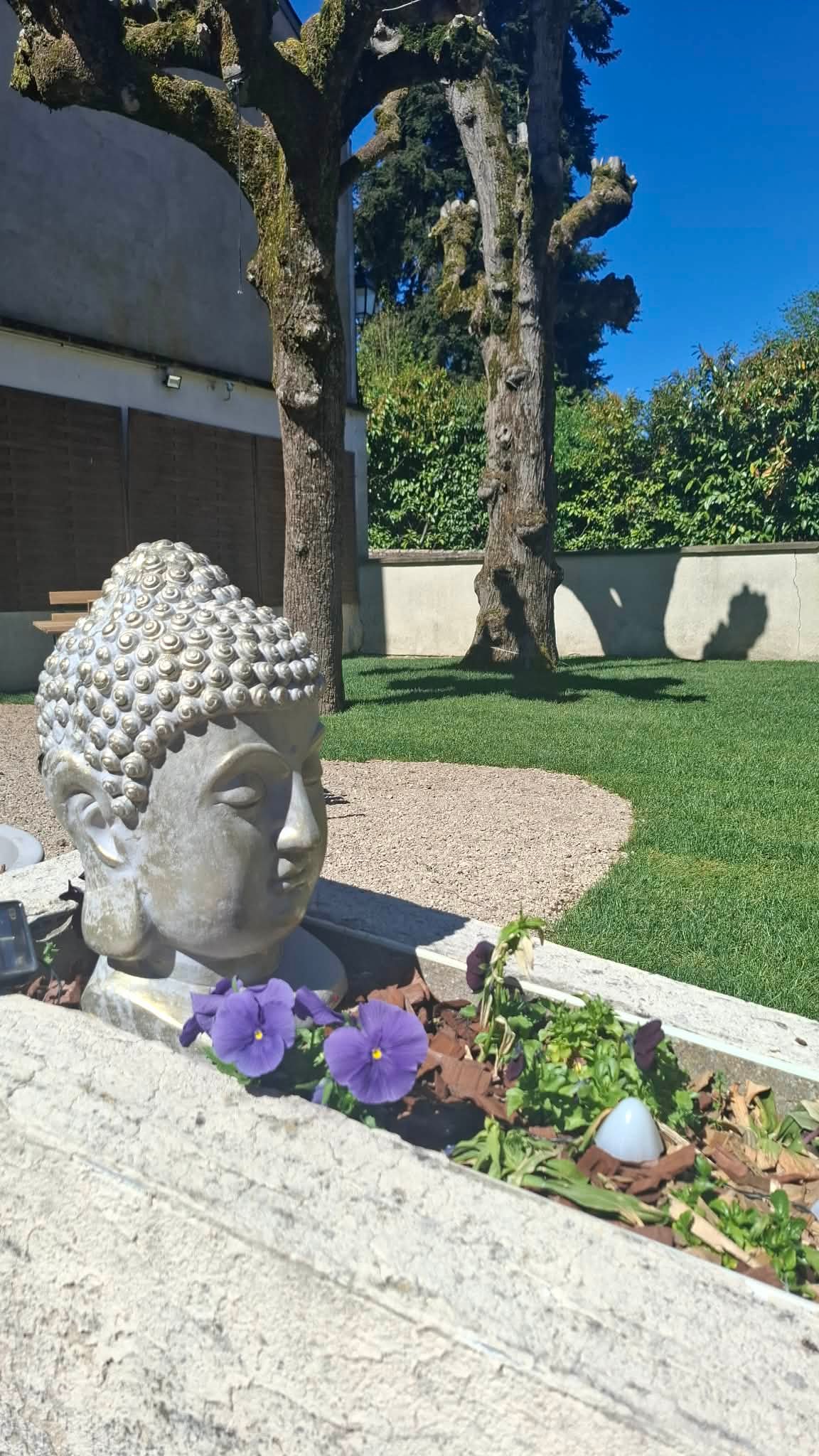 Photo prise par Chloé Deshoulières, Cérotine, co-dirigeante du Centre Meta MorphOze - Centre d'émergence humaine à Ligugé près de Poitiers, vue directe sur le jardin détente et serein du centre situé à la campagne