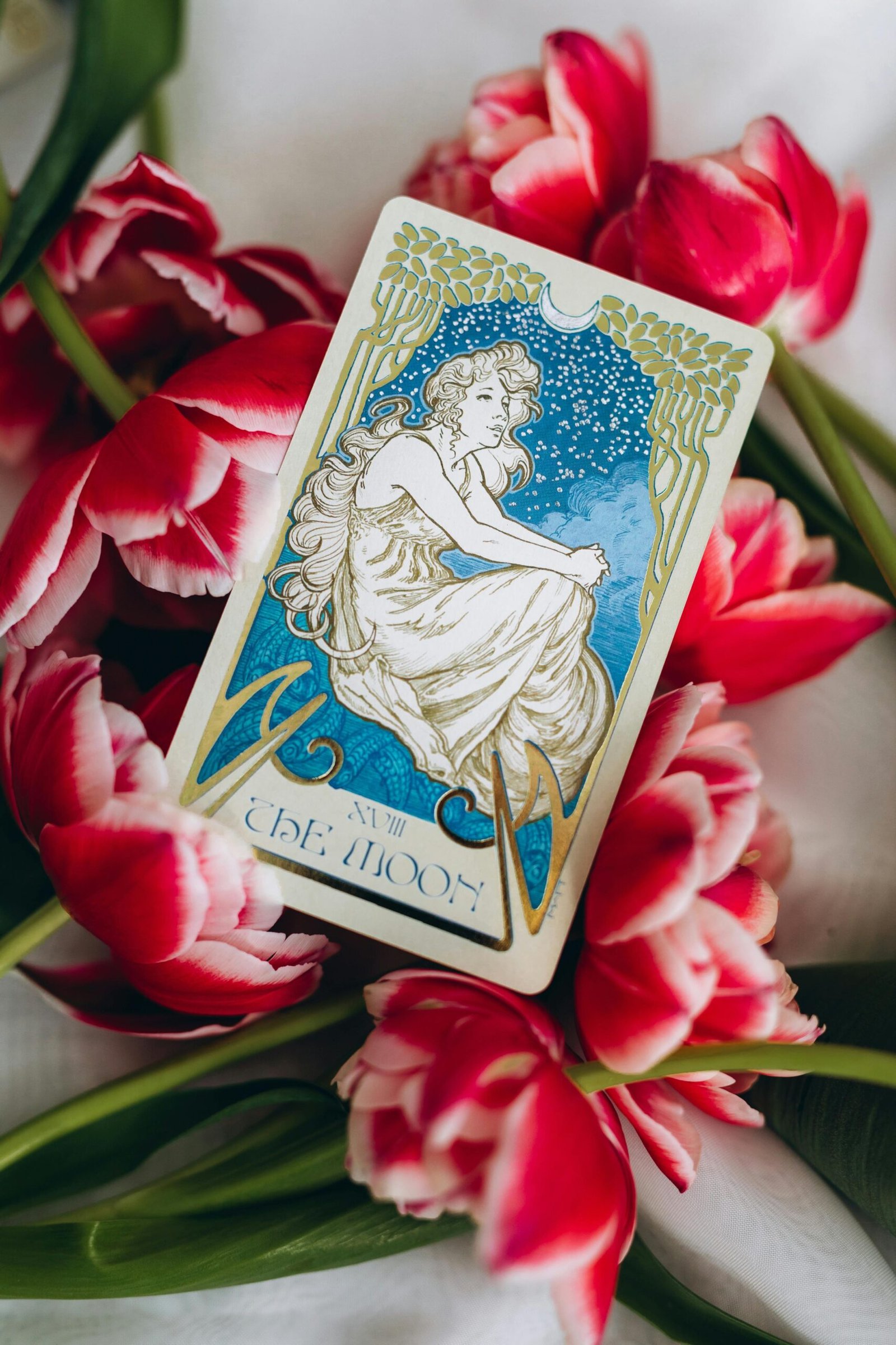 image libre de droit pexel - carte de tarot pour séance de divination cartomancie La Lune - Guidance à 2 mains par Marie Lestremau ou Chloé Deshoulières via l'offre signature Minuit Papillon du Centre Meta MorphOze - Centre d'émergence humaine à Ligugé près de Poitiers