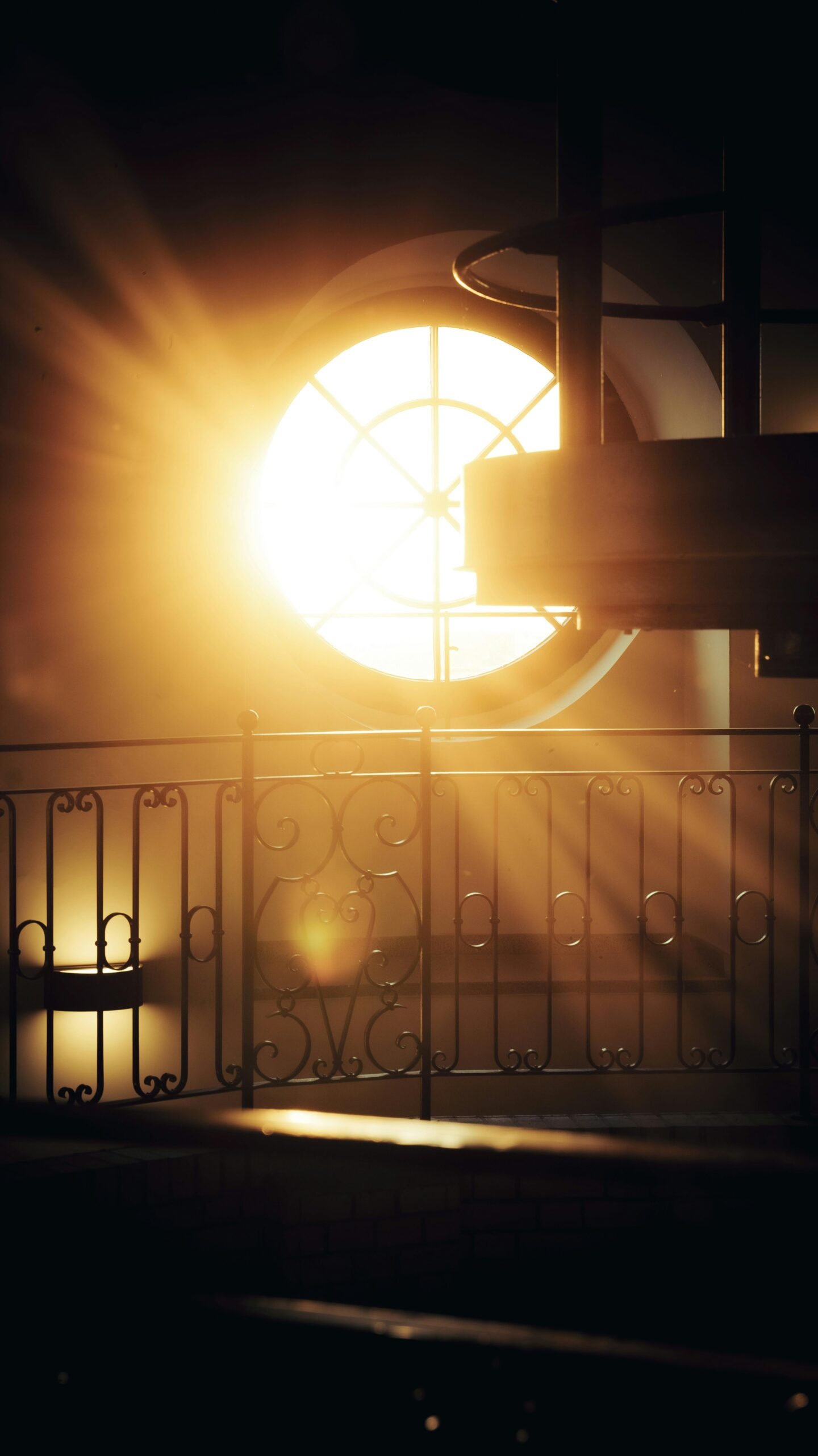 image libre de droit pexel - lumière et reconnexion pour ceux que vous aimez grâce aux cartes cadeau Minuit Papillon avec les offres signatures du Centre Meta MorphOze - Centre d'émergence humaine à Ligugé près de Poitiers